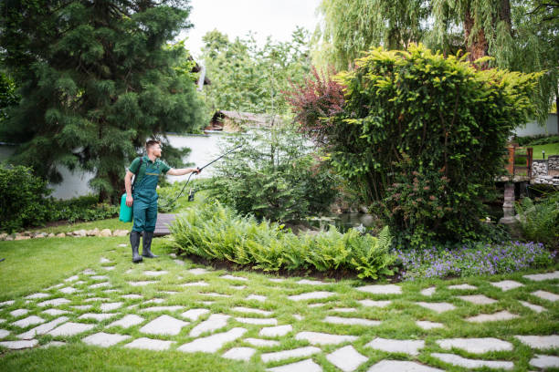 Utica, NY Tree Services Company