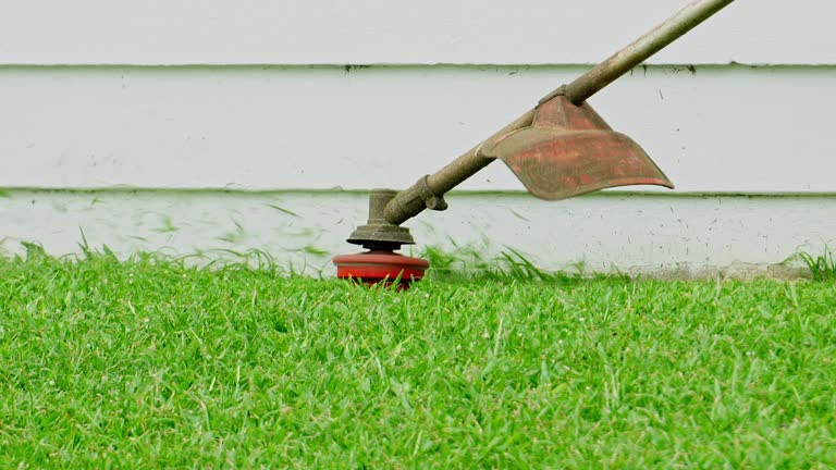 Leaf Removal in Utica, NY